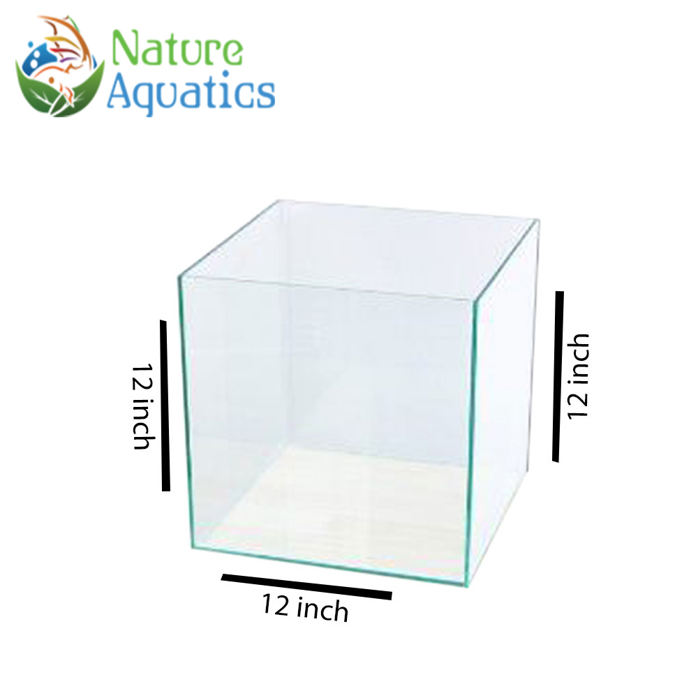 12x12x12 Inch Regular Glass With Dimond Edeging Aquarium Tank