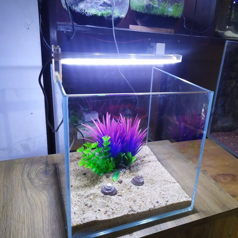 9inch Cube Tank With Full Setup