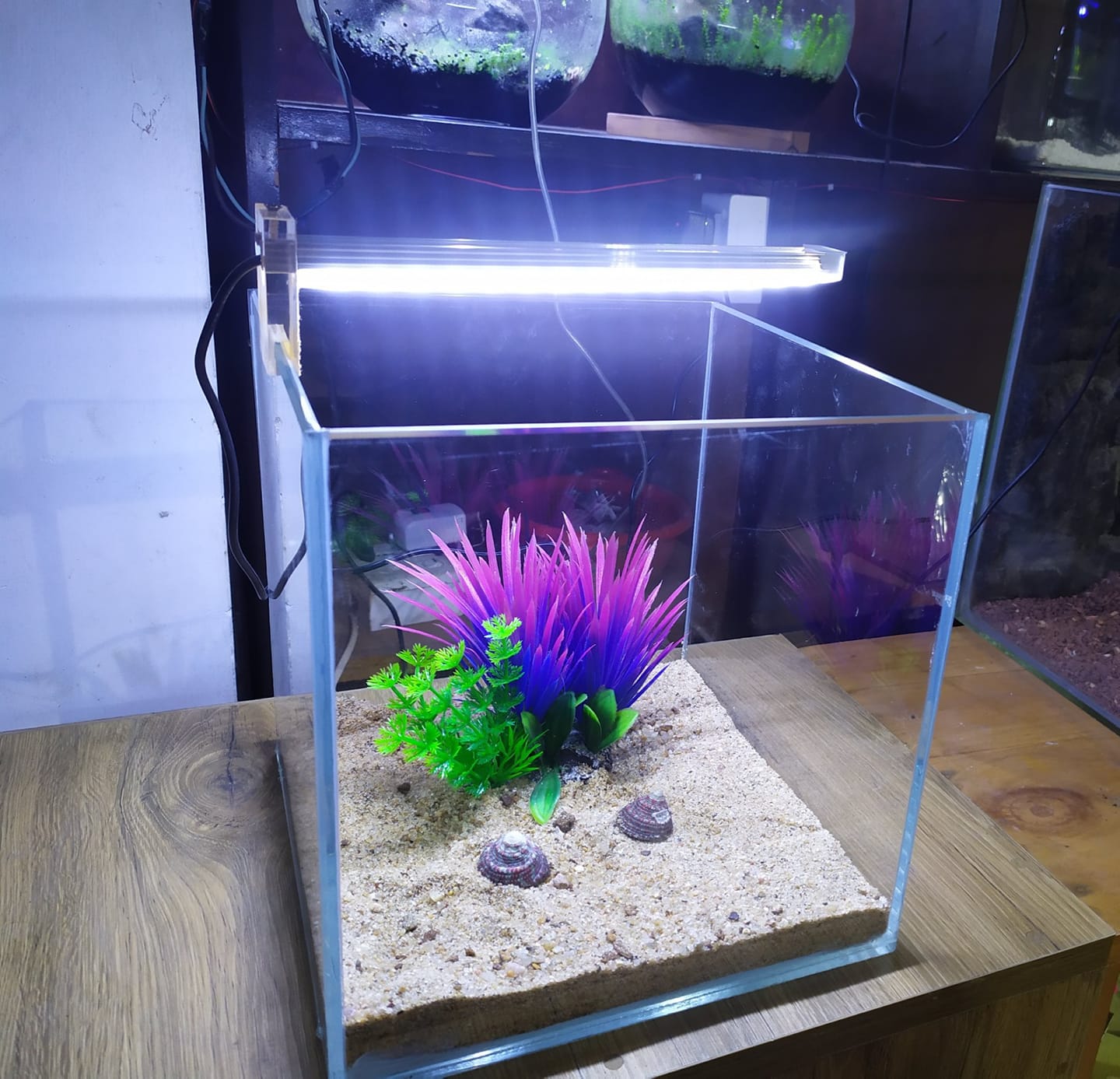 9inch Cube Tank With Full Setup