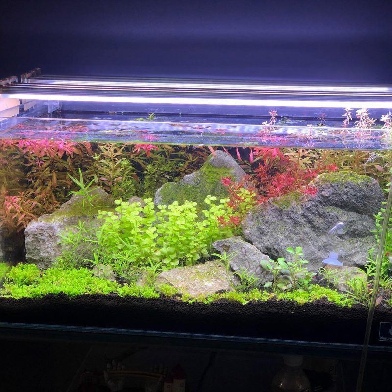 Aquarium LED Light- 24inch(3 panel)