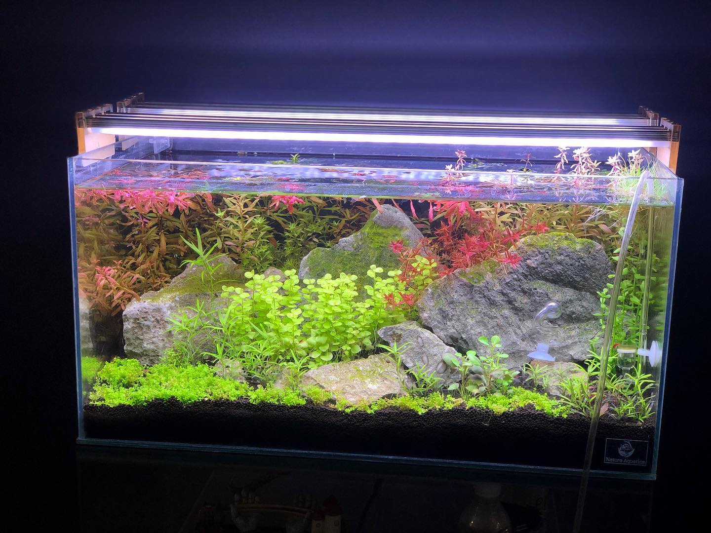 Aquarium LED Light- 24inch(3 panel)