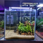 12 Cube Planted Tank w/ Complete Setup