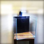 12 Cube Crystal Glass Tank With Backsump