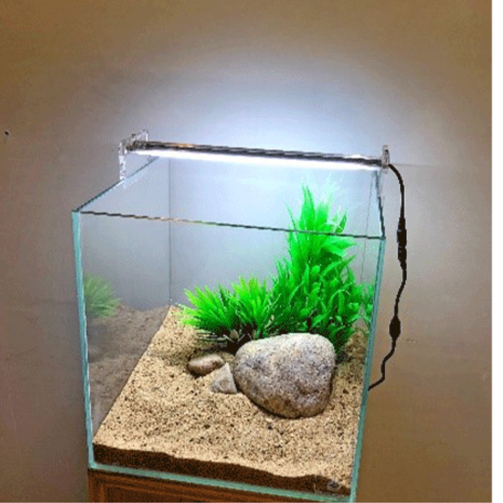 12 inch Cube Tank With Full setup
