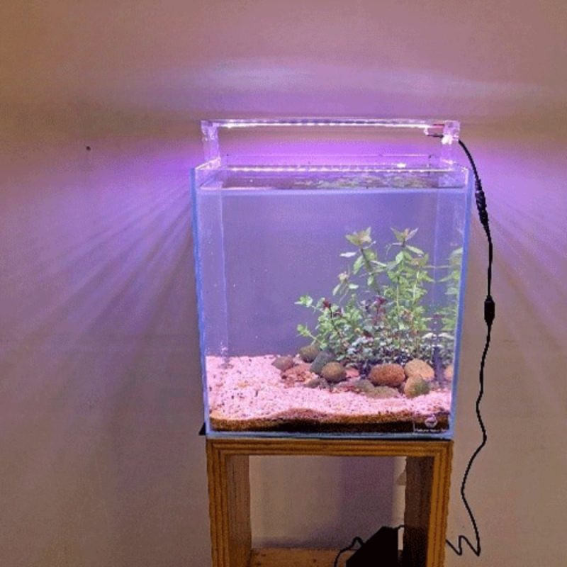 12inch Cube Tank With Full Setup