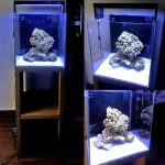 15 Inch Cube Tank with Light , Stand & Marine Setup