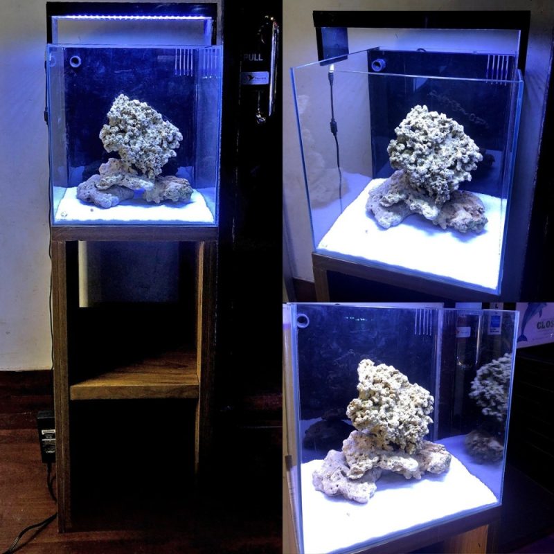 15 Inch Cube Tank with Light , Stand & Marine Setup