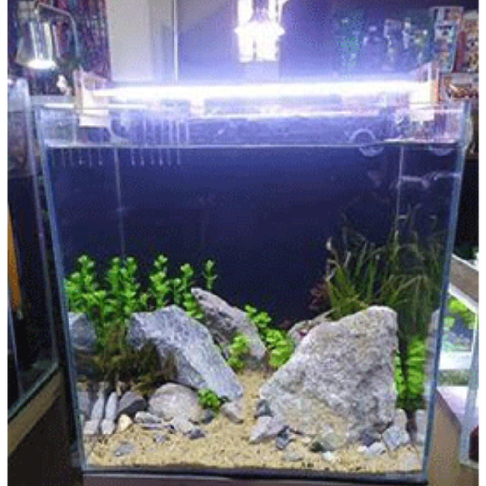 15inch Cube Crytsal Tank WithBacksump & Setup