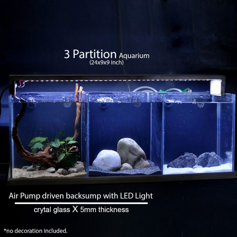 3 Partition Aquarium- 24x9x9 inch Crystal 5mm Glass(Air Pump driven backsump with LED Light)