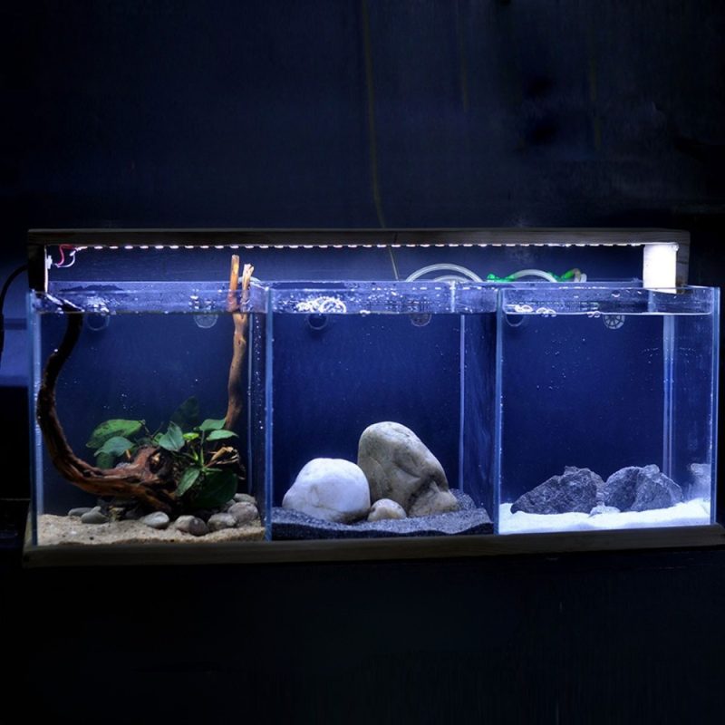 3 Partition Aquarium- 24x9x9 inch Regular 4mm Glass (Air Pump driven backs ump with LED Light)