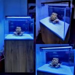 30”x18”x18”with Back Sump(158 Ltr Approximate) Code Marine 3001