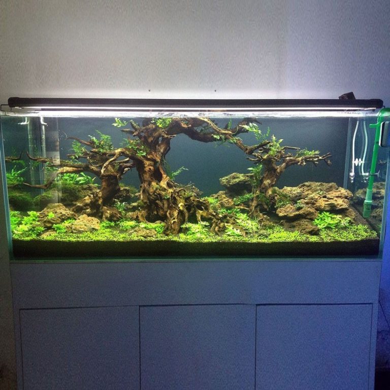 72″x24″x24″ Crystal Glass Aquarium Tank