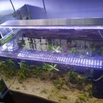 36”LED Light For Aquarium (5 Panel – WWWRB)