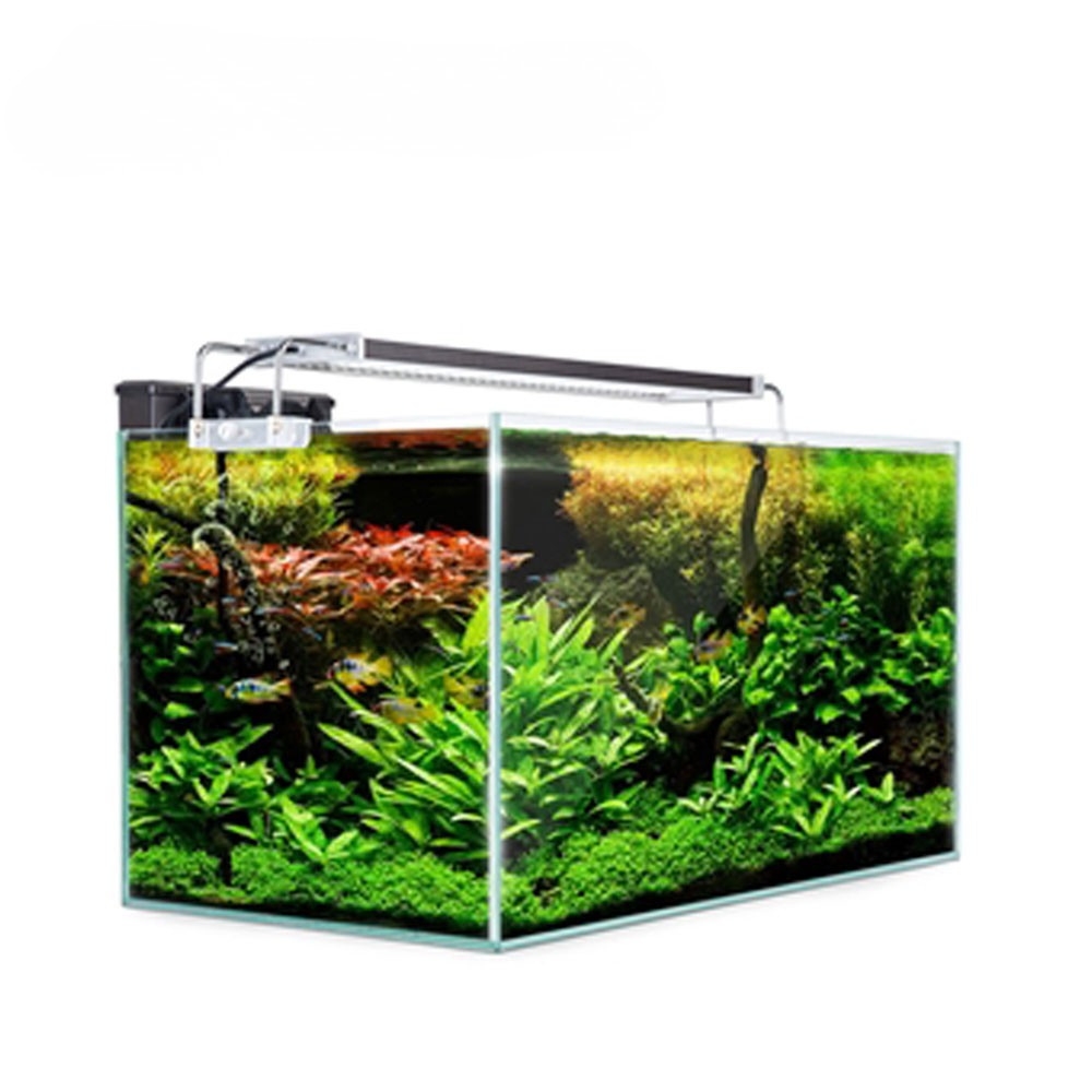 39 Ltr. 18″x12″x12″ Crystal Glass Aquarium