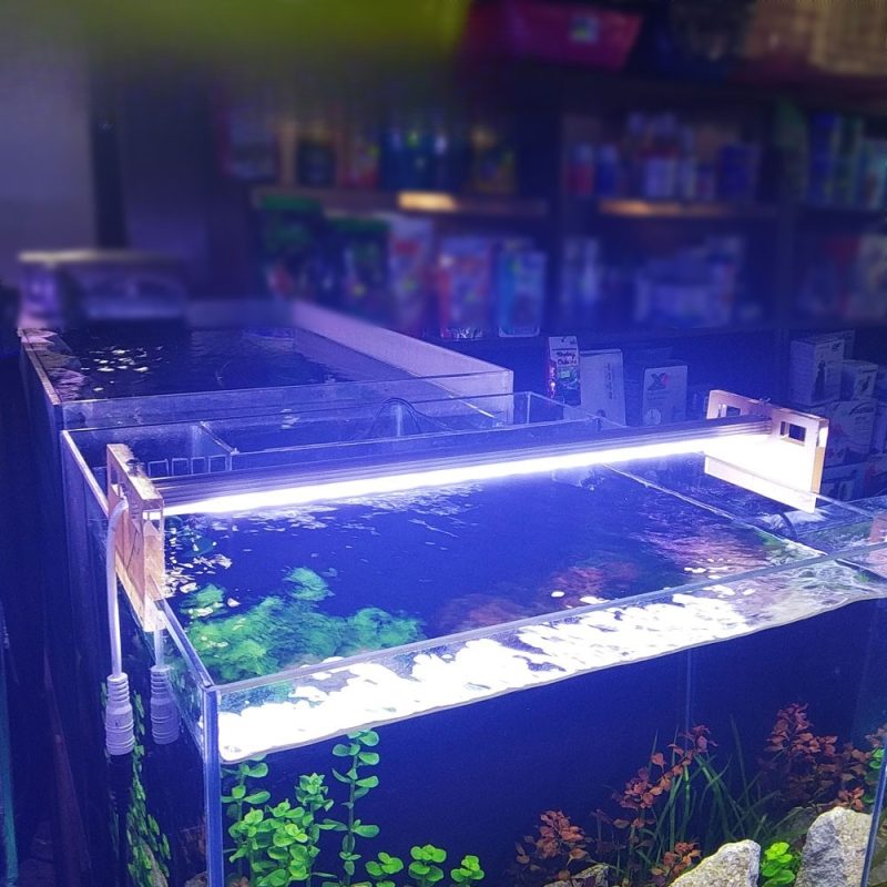 Aquarium LED Light- 12inch(1 panel)