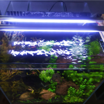 Aquarium LED Light- 15inch(2 panel)
