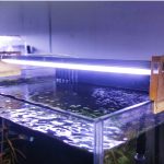 Aquarium LED Light- 24inch (2 panel)