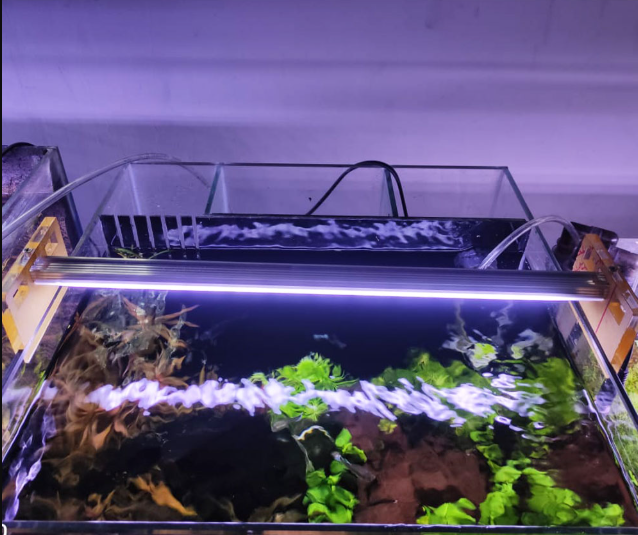Aquarium LED Light- 9inch(1 panel)