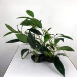 Artificial Plant (34)