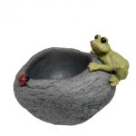Frog- Plant Pot for Aquarium