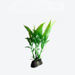 Plastic Plant A1