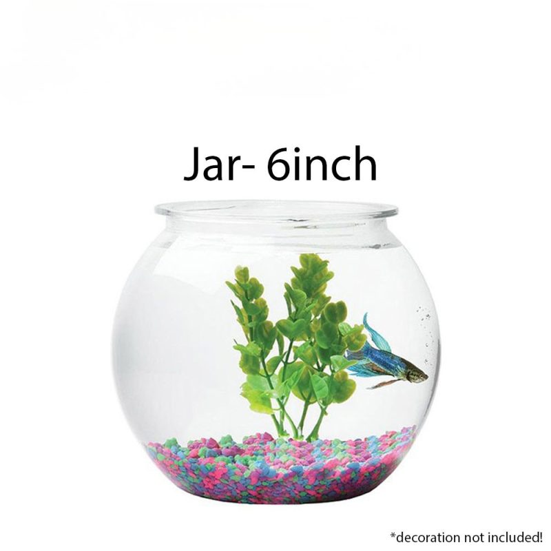 Jar- 6inch(locally made)