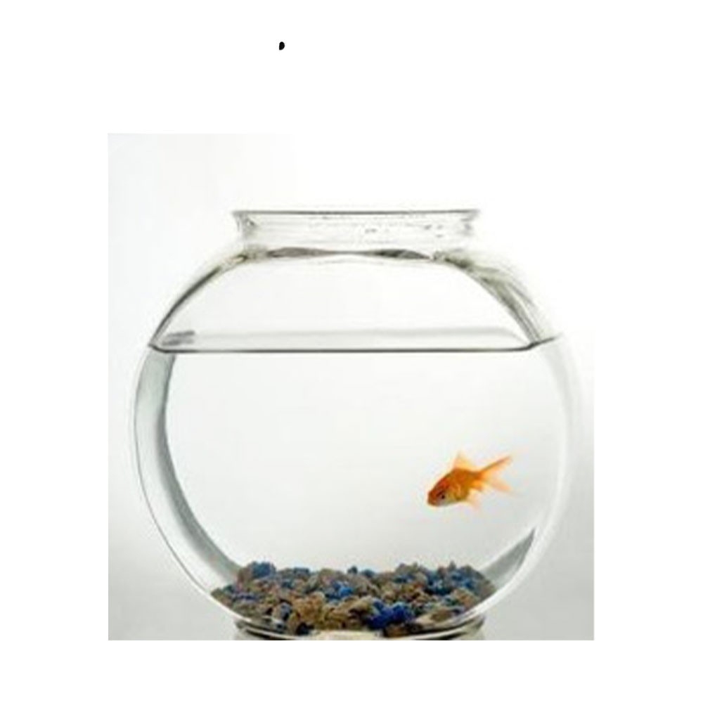 Jar- 8inch(locally made)