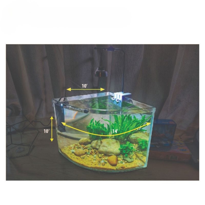 Round Triangle Shape Aquarium