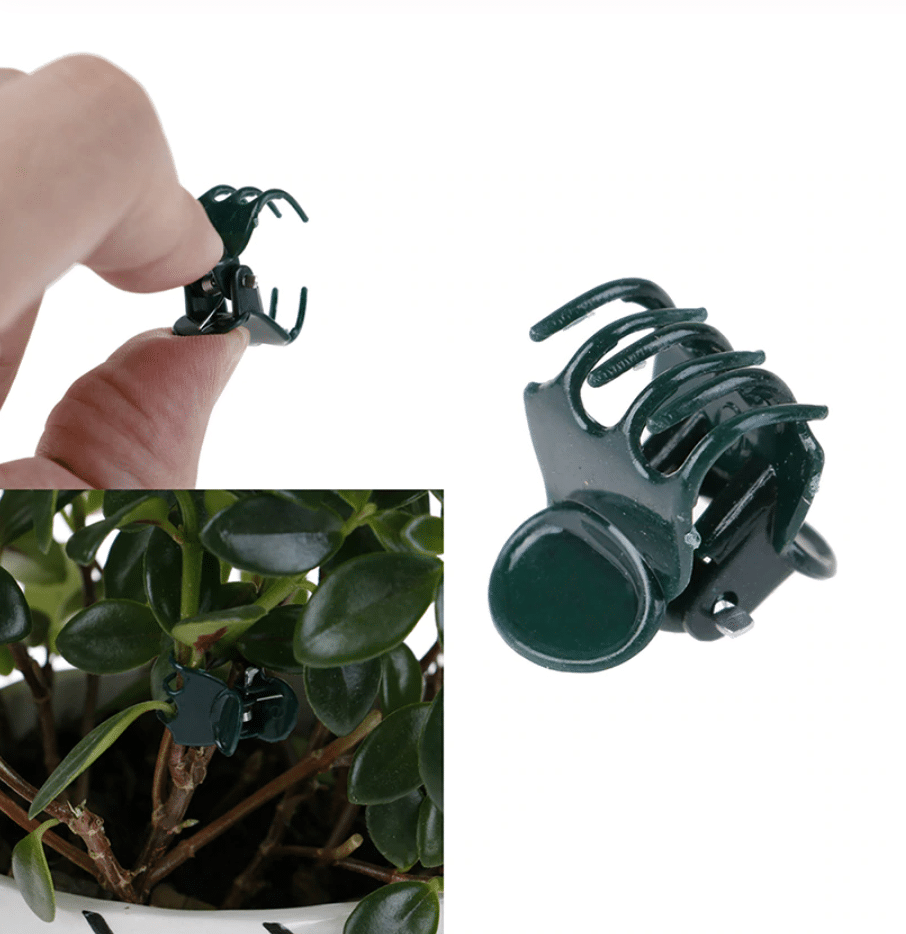 PLANT SUPPORT CLIP ( 50 PCS PACK )