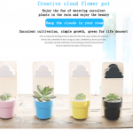 RAINY WALL-HUNG PLANTS POT