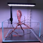 TCFM RGB light plant cultivation light Aquascaping