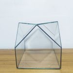 Terrarium Box- 6 inch