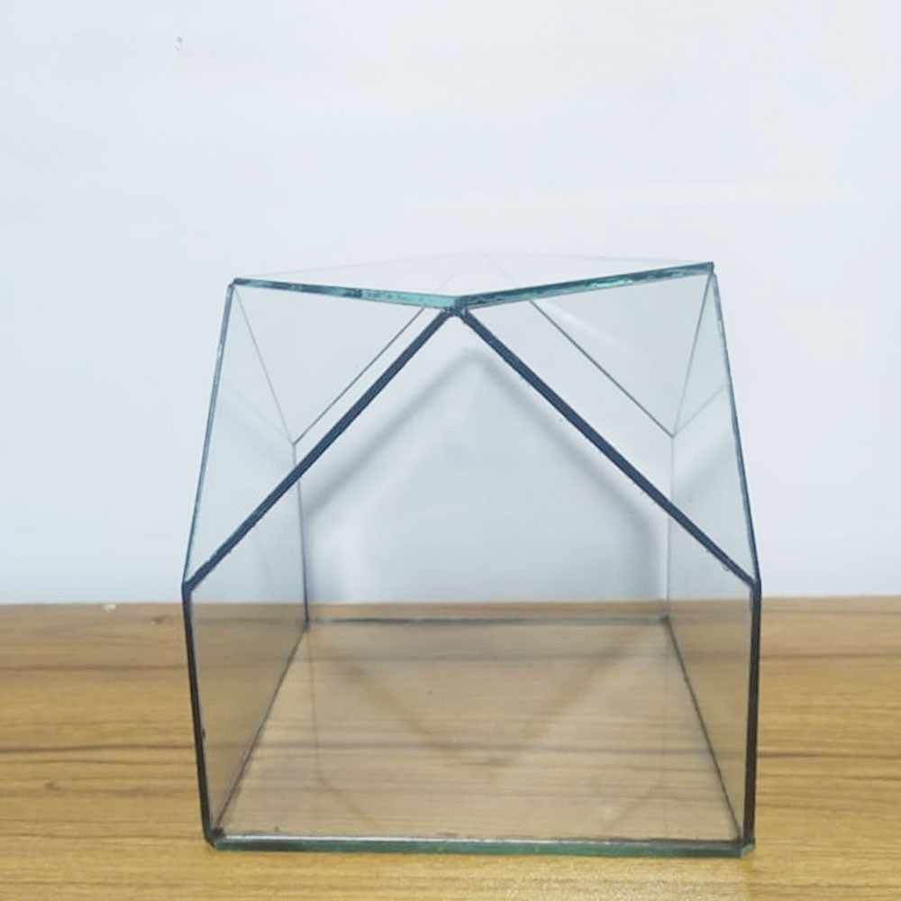 Terrarium Box- 6 inch