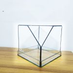Terrarium Box- 6 inch