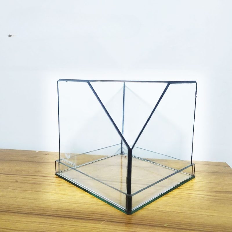 Terrarium Box- 6 inch
