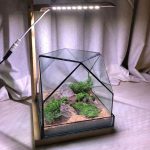 Terrarium Box- 6 inch Cube- Complete Setup with Light