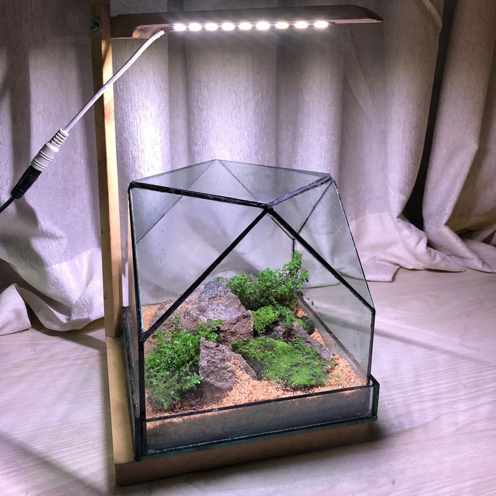Terrarium Box- 6 inch Cube- Complete Setup with Light