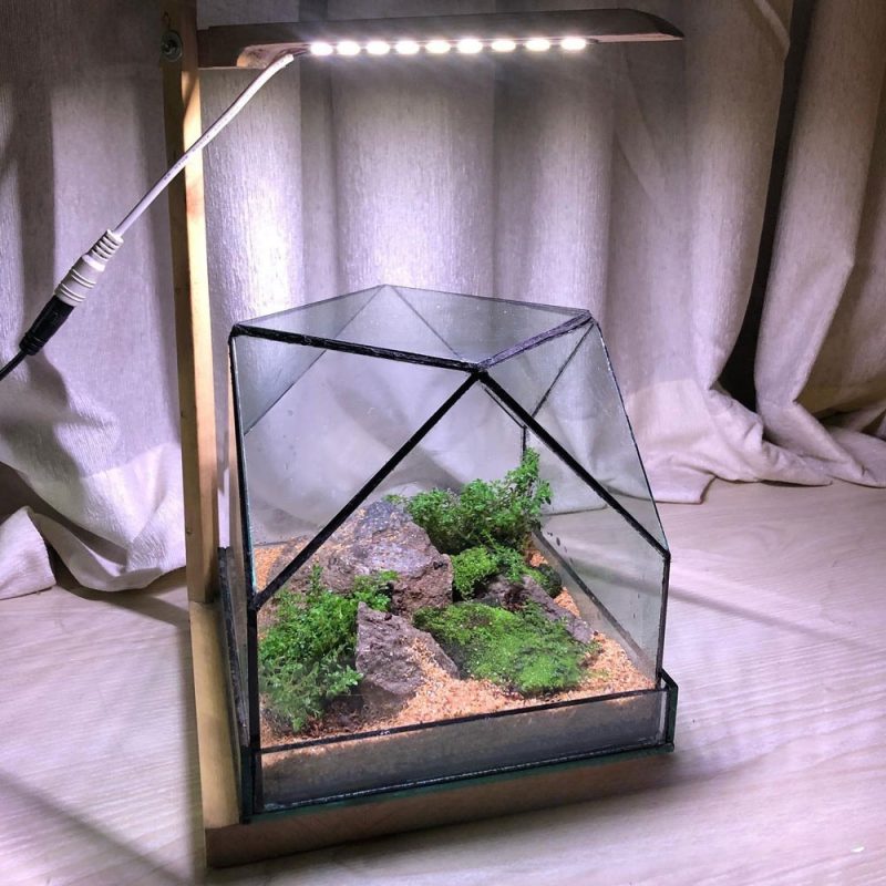 Terrarium Light