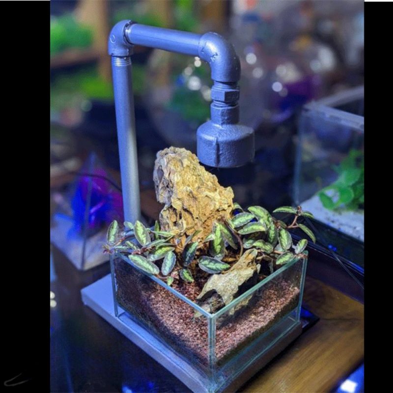 Jar Light jar setup NA customized light Terrarium Light Terrarium setup