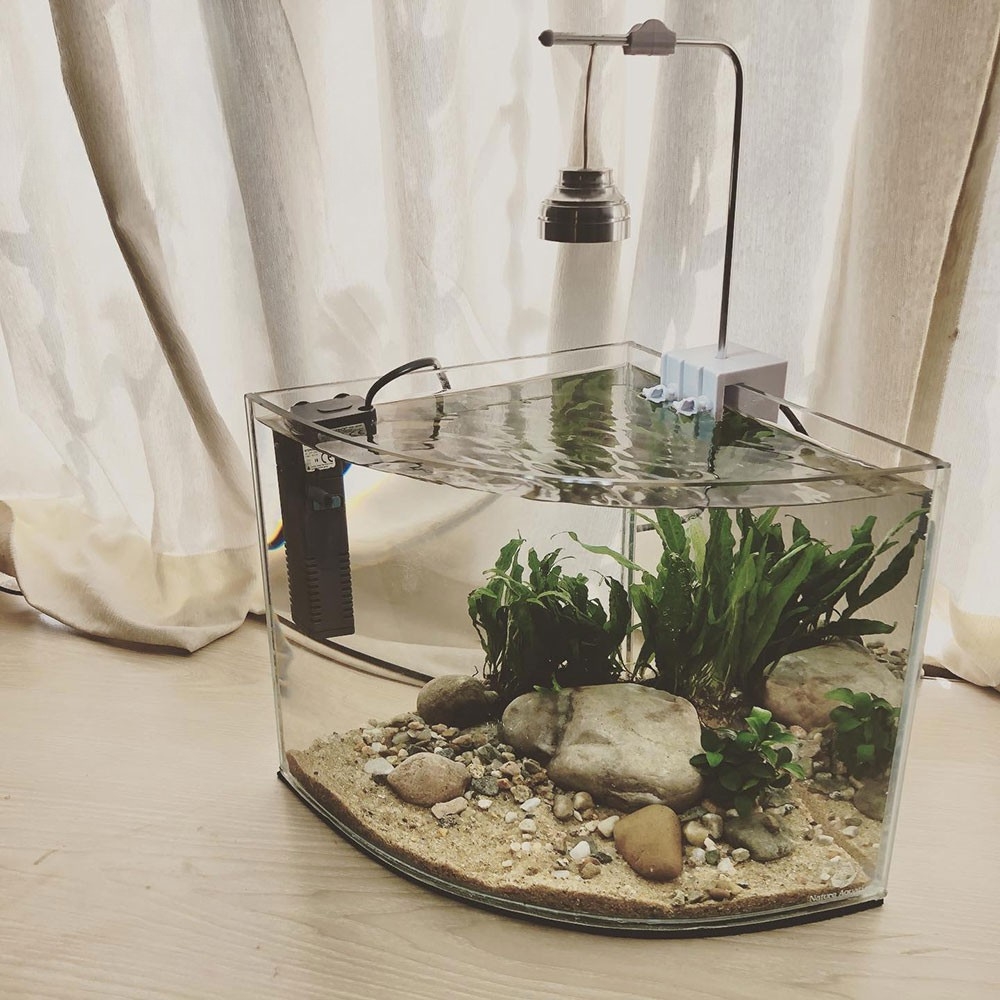Triangle Shape Aquarium w/ Complete Setup