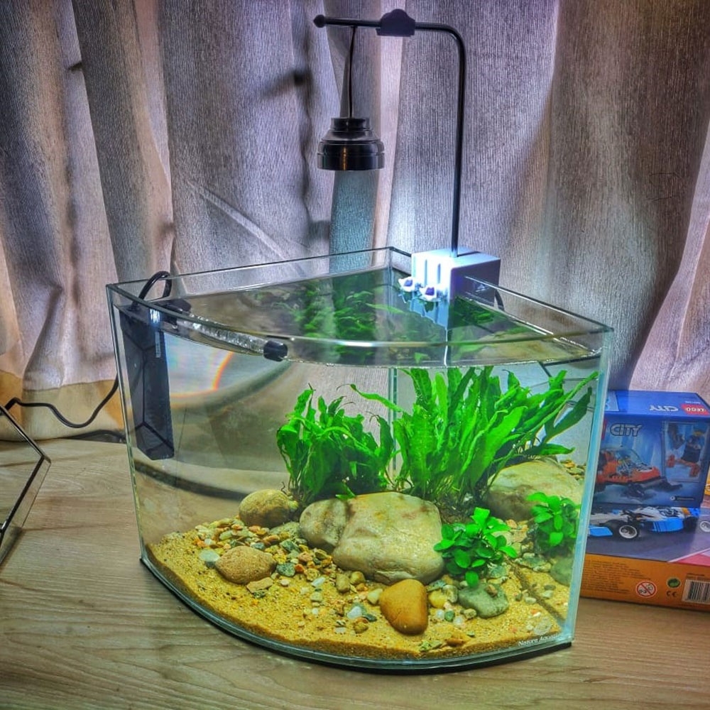 Triangle Shape Aquarium w/ Complete Setup