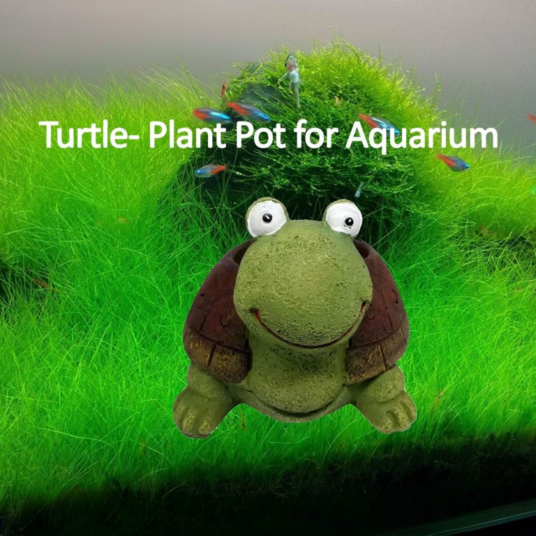 Turtle- Plant Pot for Aquarium