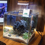 9inch Cube Crystal Tank with Setup