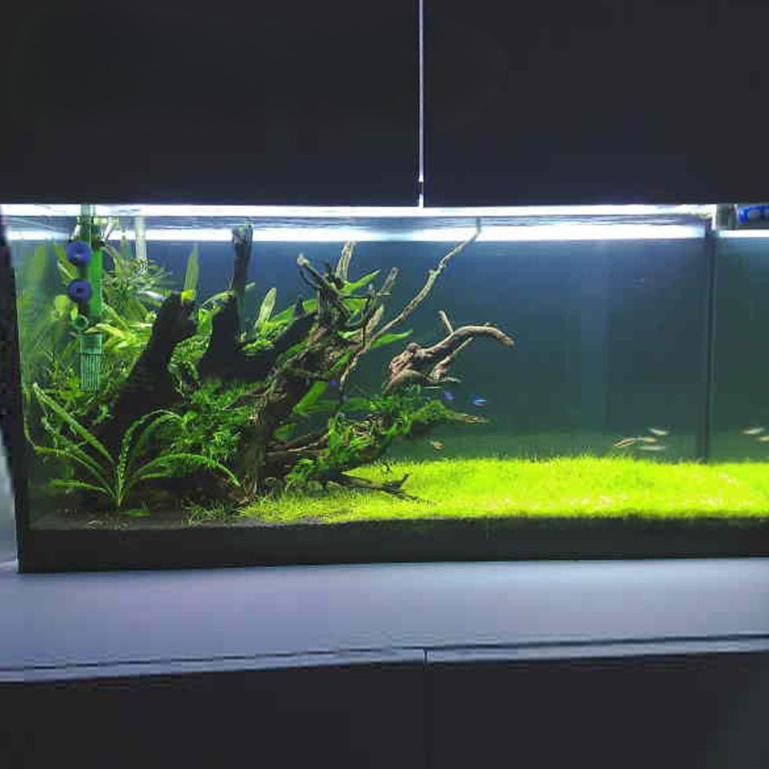 Regular Glass With Dimond Edeging Aquarium- Glass Thickness 10mm