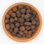 Clay Ball