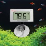 Digital Thermometer