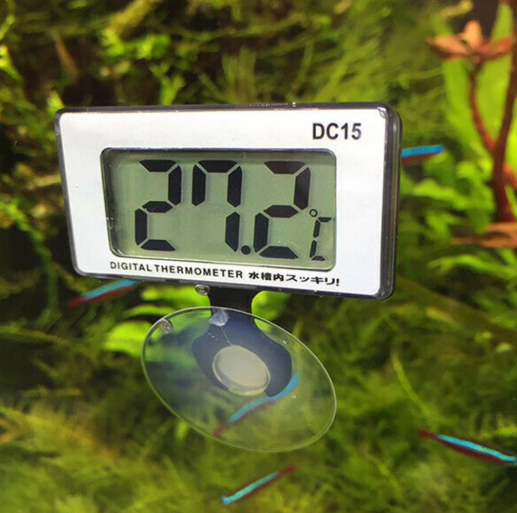 Electronic Thermometer
