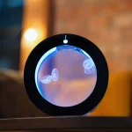 Jelly Fish tank small