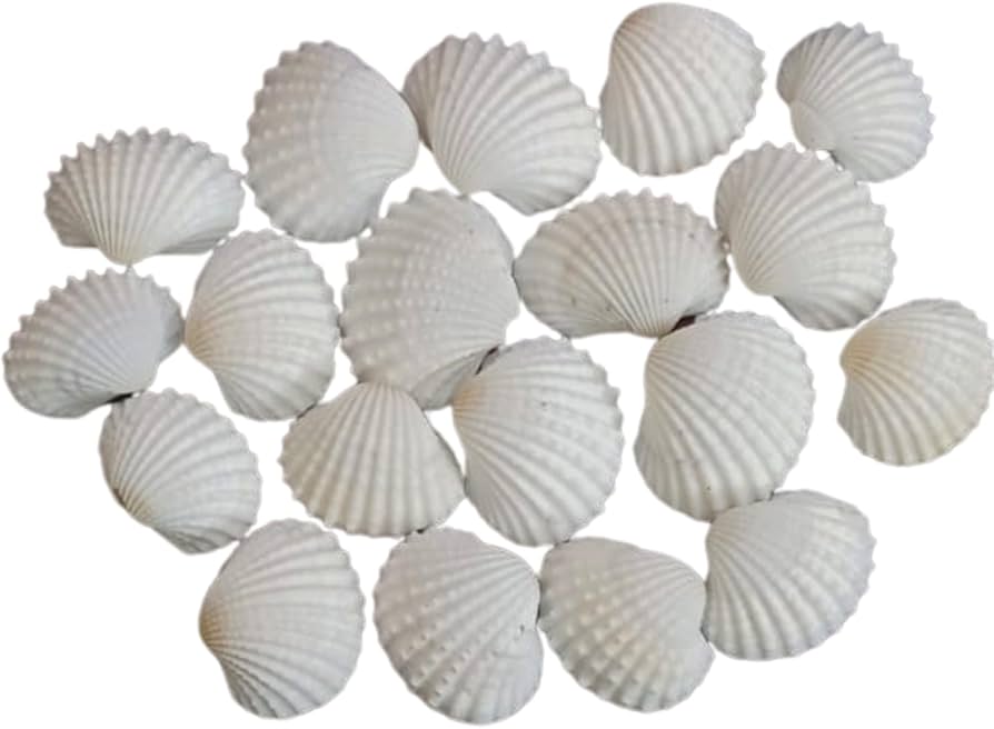 Jinuk Shell