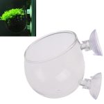 Plant Cup holder